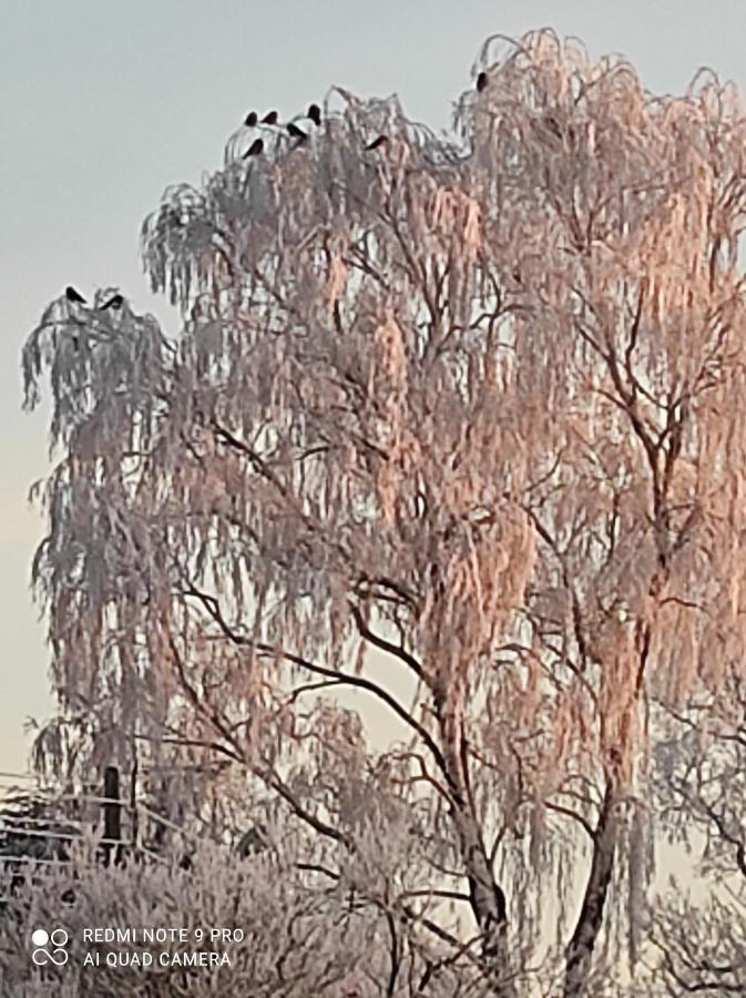 Zakatek Zurawi 2 Villa Świnoujście Exteriör bild