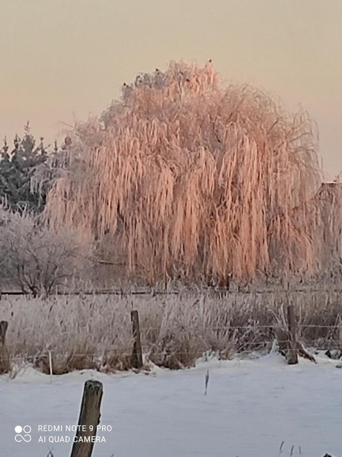 Zakatek Zurawi 2 Villa Świnoujście Exteriör bild