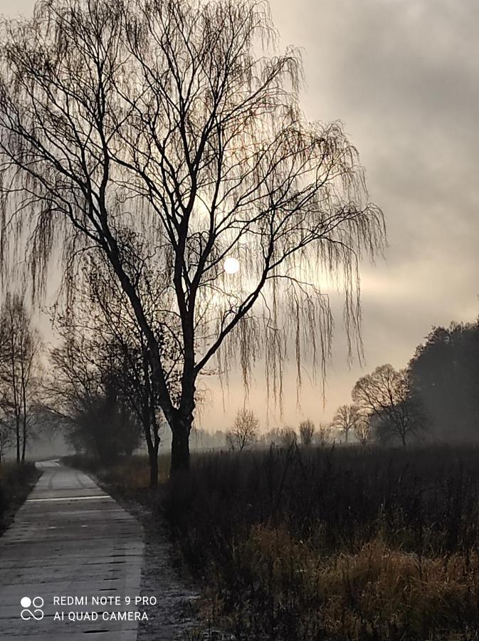 Zakatek Zurawi 2 Villa Świnoujście Exteriör bild