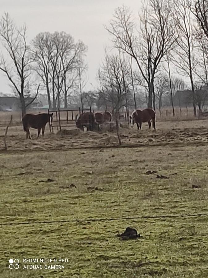 Zakatek Zurawi 2 Villa Świnoujście Exteriör bild